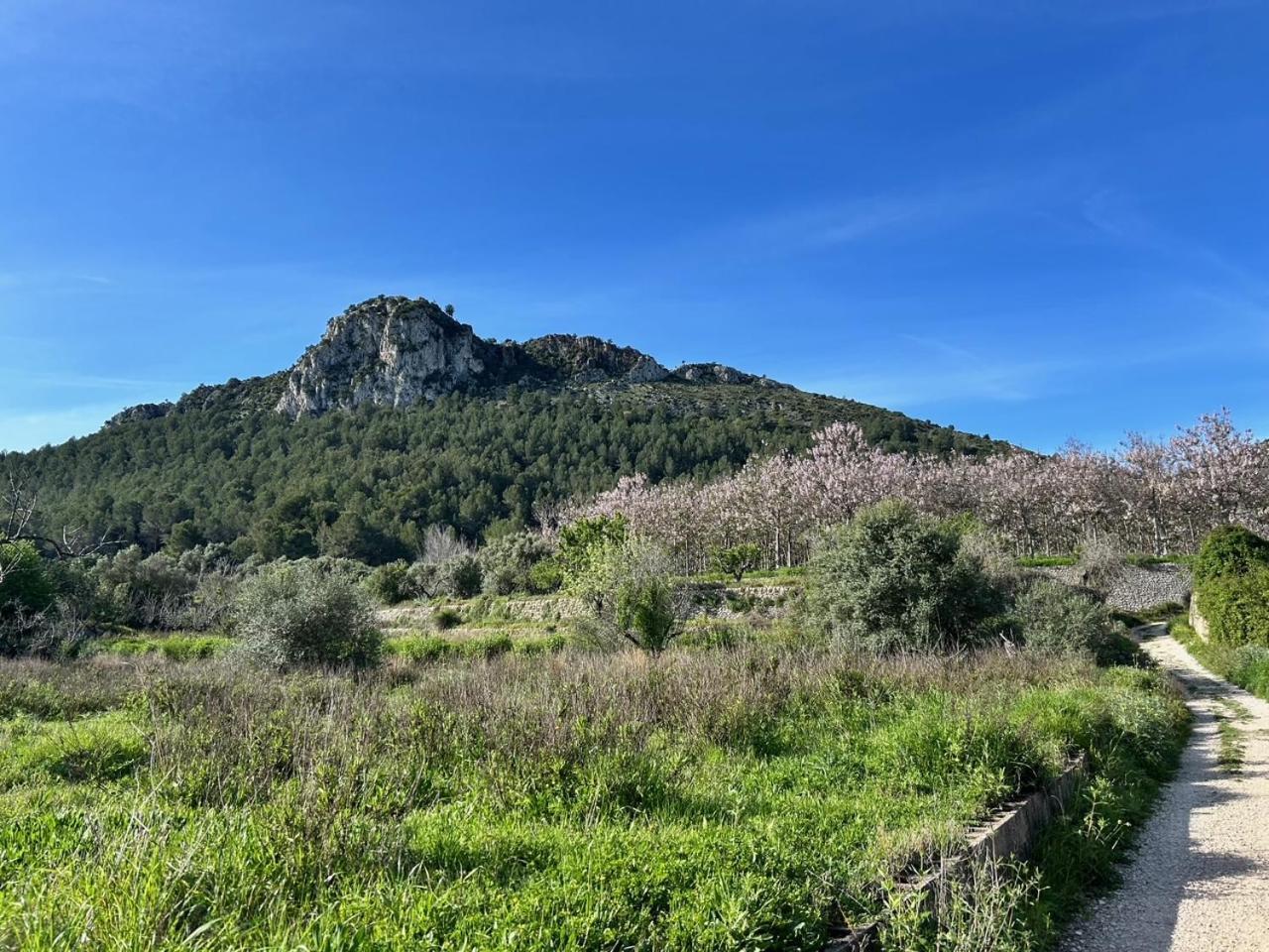 Casa Lima Villa Orba Dış mekan fotoğraf